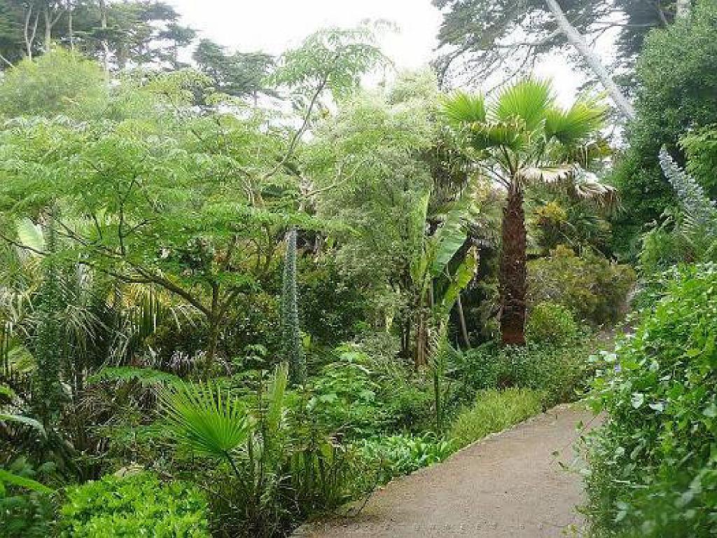 131 Ile de Batz Jardin Georges Delaselle_000030.jpg